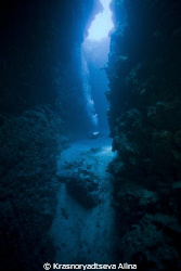 The Canyon, Dahab, 30msw by Krasnoryadtseva Alina 